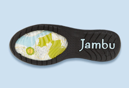jambu designs shoes