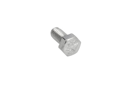 SCREW S.S. TE M5X10