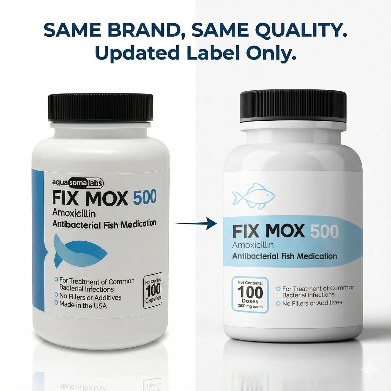 Fish Mox Forte - Amoxicillin 500 mg 100 Count