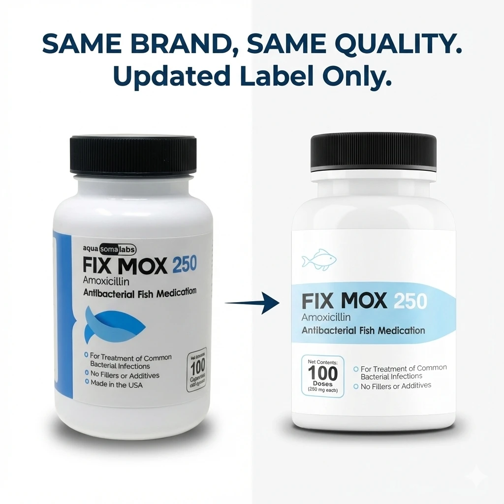 Fish Mox - Amoxicillin 250 mg 100 count – Bacterial Treatment