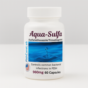 Fish Sulfa 60 Capsules Fish Sulfa 60 Capsules