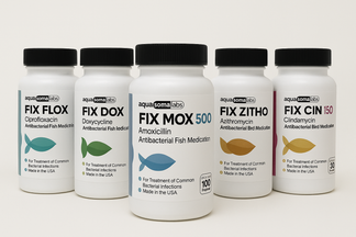 Best Aquarium Fish Antibiotics Guide (USA) – Types, Dosing & Safe Treatment