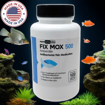 How to Dose Amoxicillin (Fish Mox) Correctly in Your Aquarium – 250 mg & 500 mg per Gallon Guide