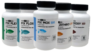 Where to Buy Fish Antibiotics Online with Fast U.S. Shipping