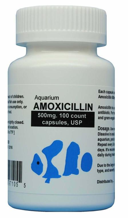 fish mox forte (Amoxicillin) 500mg 100 capsules