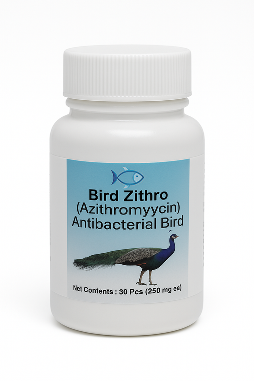 Bird Zithro - Azithromycin 250 mg Tablets 30 Count