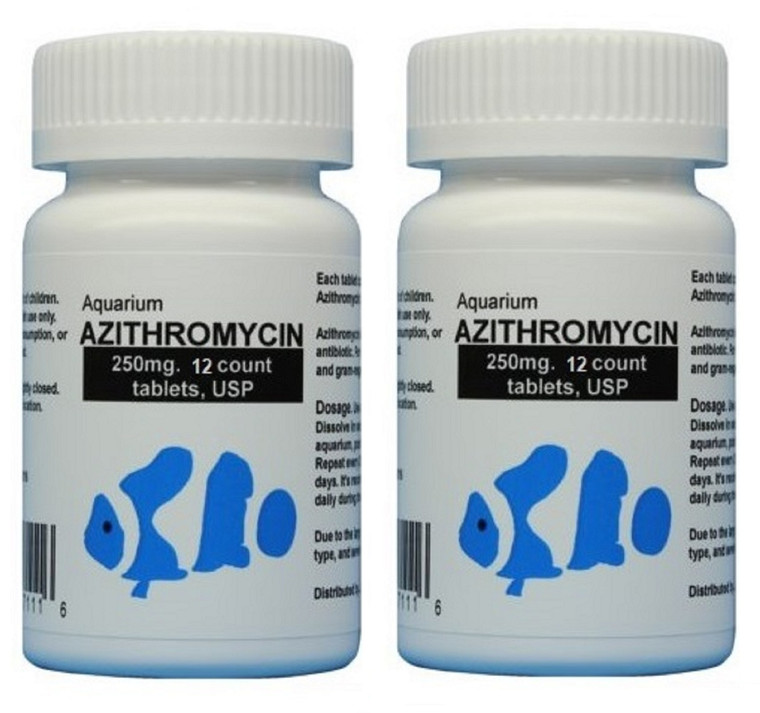 fish antibiotics  azithromycin 250mg