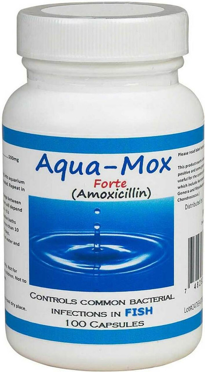 Aqua Mox Forte Amoxicillin - 500mg Capsules