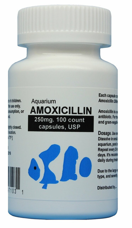 Fish mox  (Amoxicillin)  250mg  100 capsules