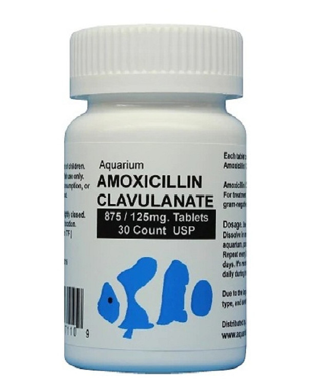 Fish Amoxicillin Clavulanate (Amox Clav) 875mg/125mg - 30 tablets