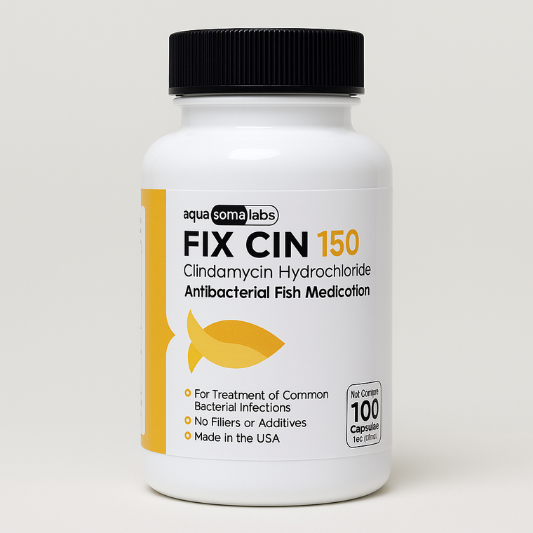 Fish Clindamycin 150 mg 100 Capsules
