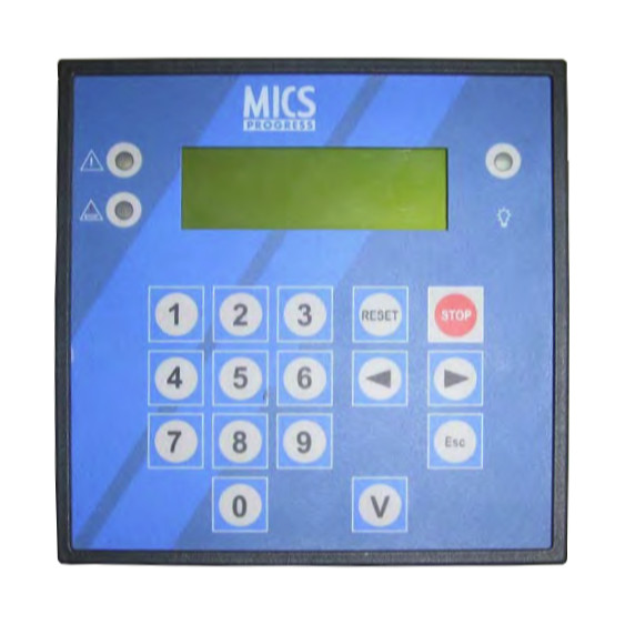 31613066301 Mics Progress