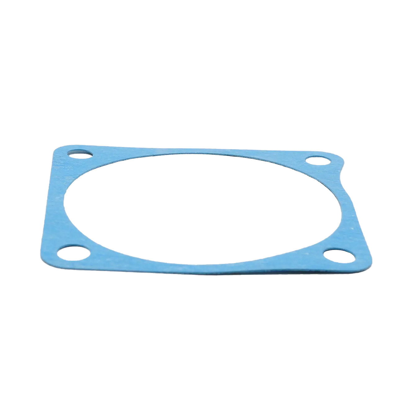 Raw Water Pump Gasket for OB 302-M03