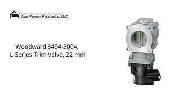 Woodward Gas Valve
