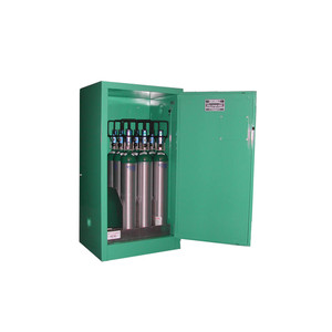 SECURALL 9-12 D, E Cyl. Self-Latch Standard Door, Fire-Lined, Medical Cabinet, MedGreen