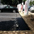 CHECKERS 6' Black/White Parking Curb, Park-It® in a parking lot