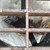 ENPAC Oil-Absorbing Spilltration® Cone Insert for Storm Sentinels®, Case of 5, Gray (ENP-OILCONE)