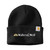 Carhartt Watch Cap 2.0
