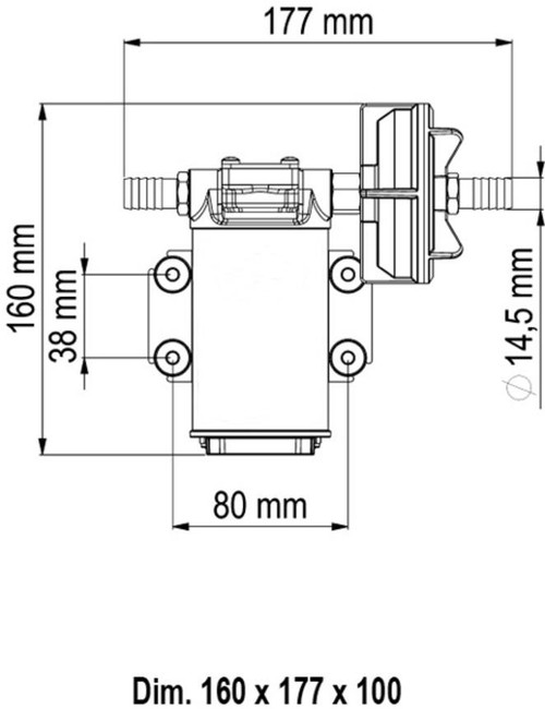 Stainless pump dimensions