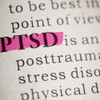 PTSD BUNDLE (13 CEUS)
