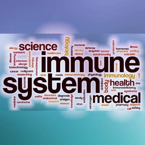 THE IMMUNE SYSTEM BUNDLE (12 CEUS)
