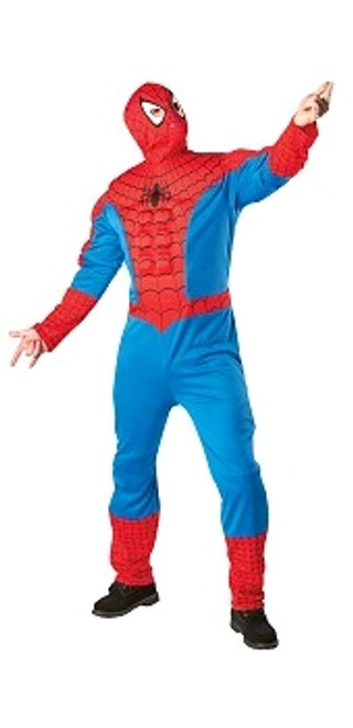 Spiderman Costume for Hire