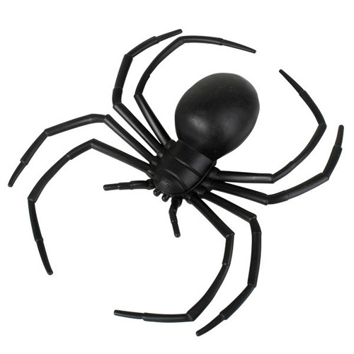 Black Widow Spider - 15cm | The Littlest Costume Shop