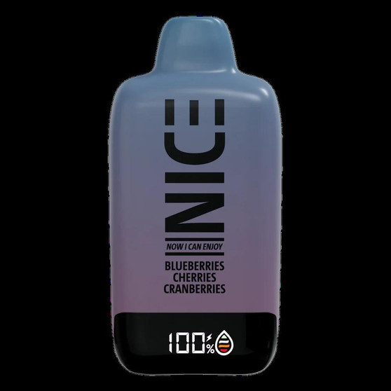 Nice 9000 Puff Disposable