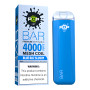 Pop Hit Bar 4000 Puffs 12ml Premium Disposable
