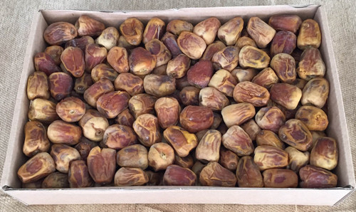 international ثمانية كراتين سكري فاخر (فلة)  Eight  Boxes Dry Premium Sukkari Date