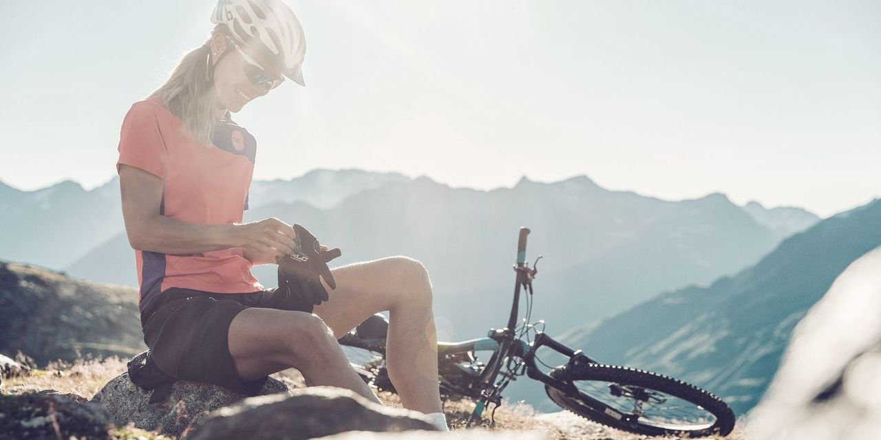 haibike fulllife 5.0