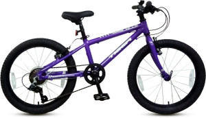 24" TIGER BEAT | PURPLE