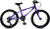 20" TIGER BEAT | PURPLE