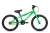 Tiger Zoom 18 Junior Bike in Green