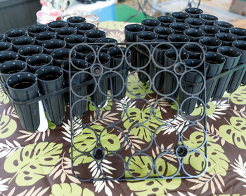 Rooting Tubes - 25 tubes - 1 Tray