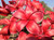Inferno Red Plumeria
