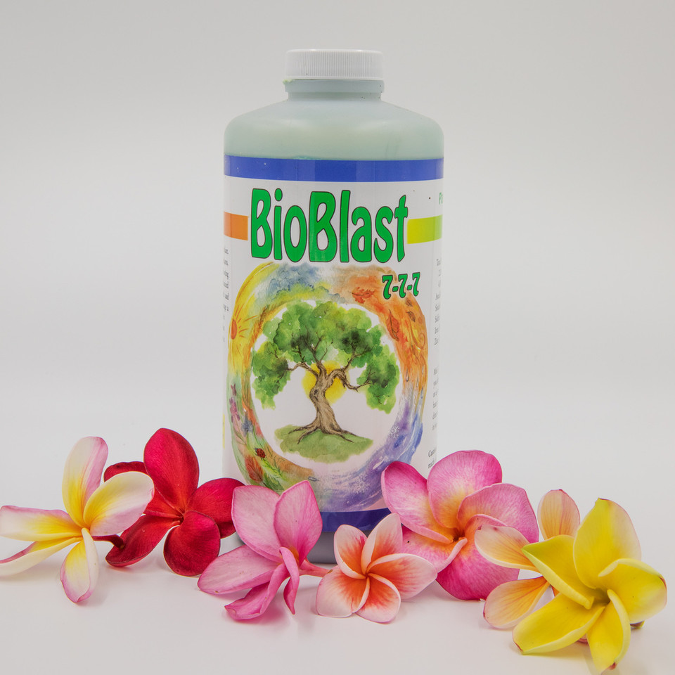 Fertilizer and Nutrient Package Excalibur Plumeria Fertilizer