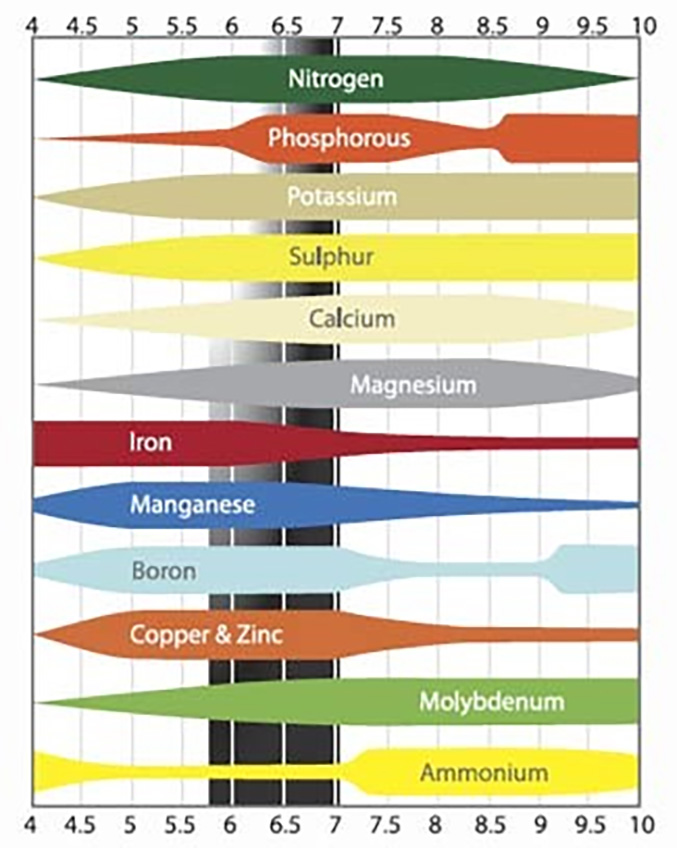 Why soil pH is important for Plumeria