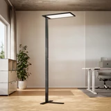 ofinto Stehlampe Lumino Schwarz freistehend - moderne LED-Standleuchte mit rechteckigem Leuchtpanel und schlankem Metallfuß, ergonomische Bürobeleuchtung neben höhenverstellbarem Schreibtisch und ergonomischem Bürostuhl in minimalistischem Home Office