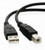 USB 2.0 CABLE (A TO B, 6')