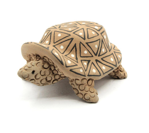 Debbie Flanagan Turtle 030924