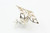 Sterling Silver Ring 52120