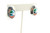 Multi- Color Silver Earrings 121620