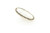 Large White Buffalo Ring 021922