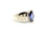 Sterling Silver White Opal and Tanzanite CZ Ring 102723