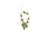 Roie Jaque Sonoran Gold Turquoise Necklace & Earrings Set 100426