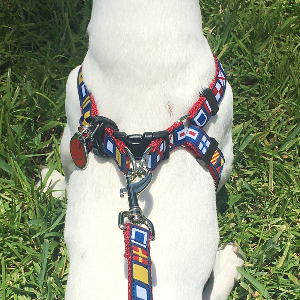 Nautical Flag Stepin Dog Harnesses at Made in