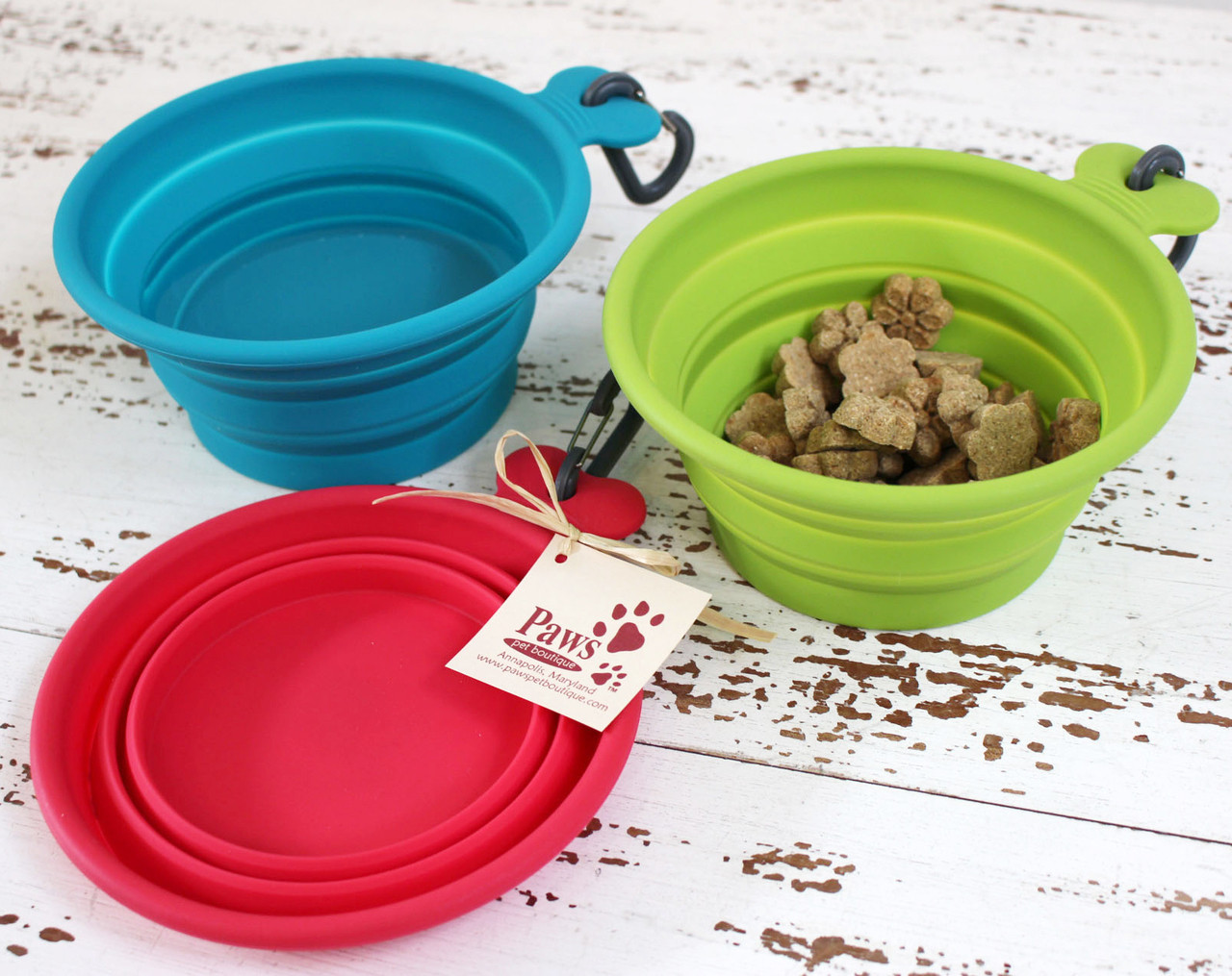 Collapsible Dog Bowl