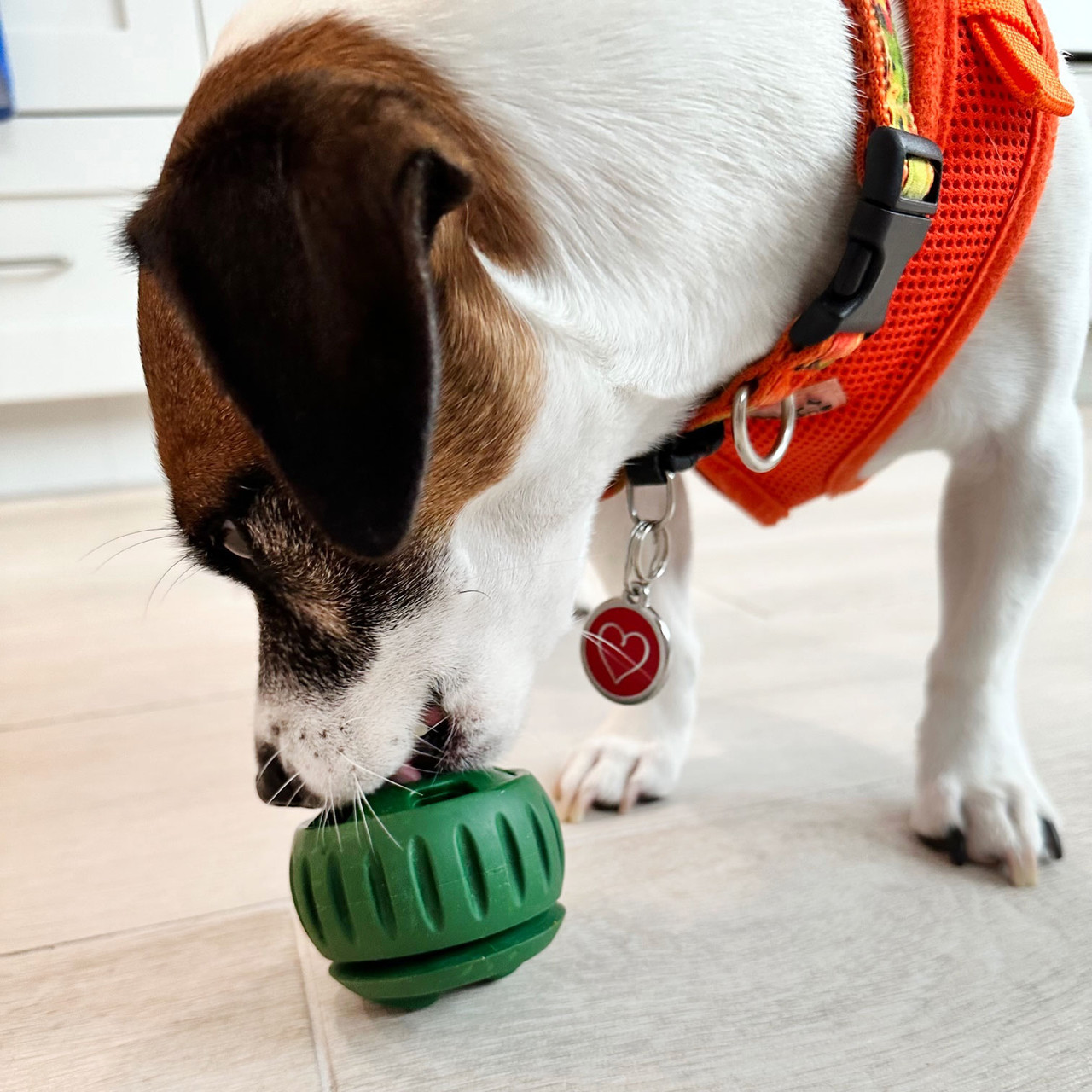 Throbizz® Puppy Treat Ball – Innovative Pet Products