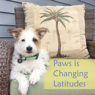 Paws pet boutique Changes Latitudes - A Look Back